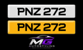 PNZ 272